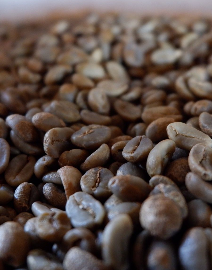 Premium Indonesian Coffee Beans – Arabica and Robusta Export by PT Export Tani Nusantara