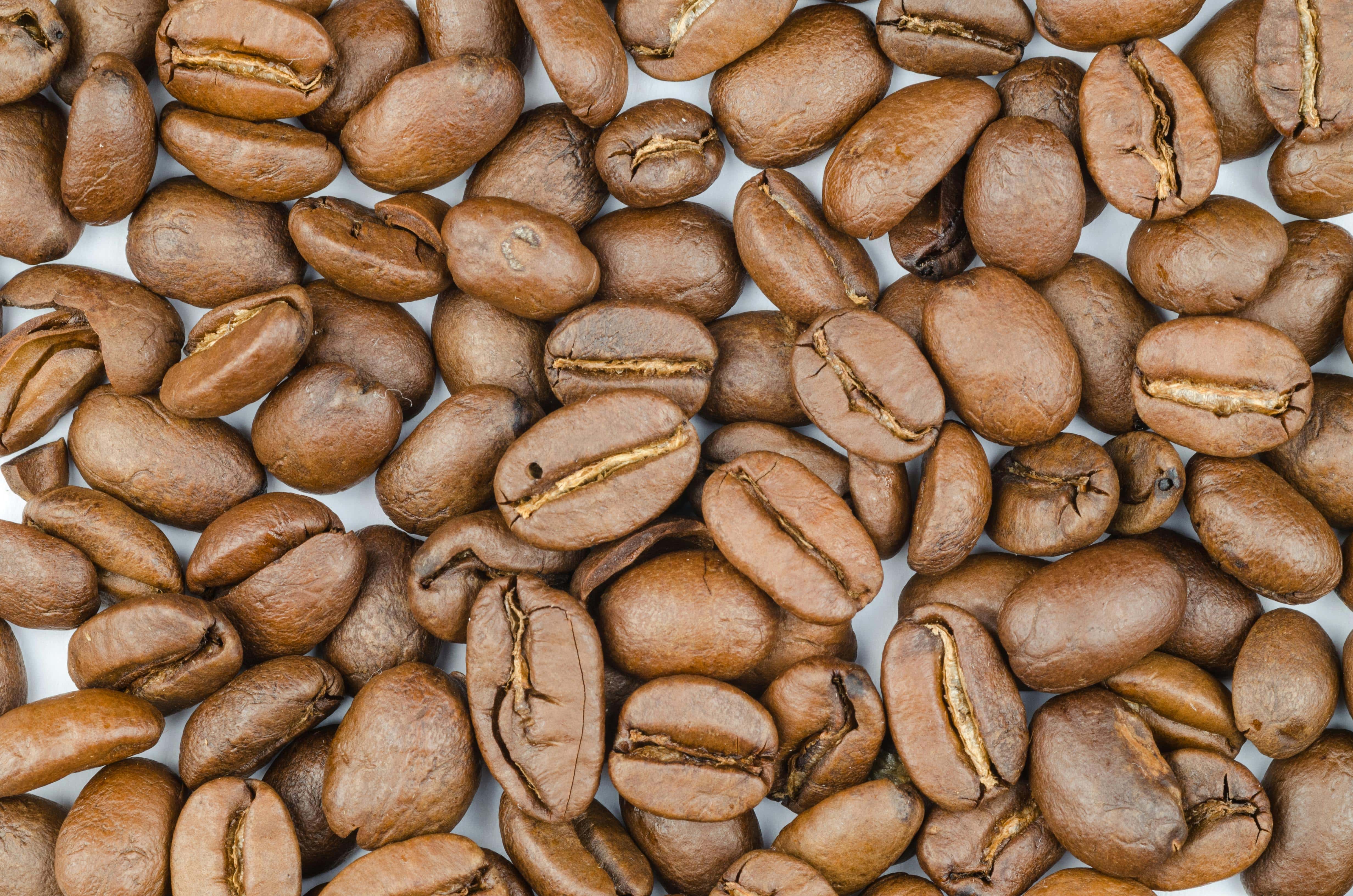 Coffee Seeds Image